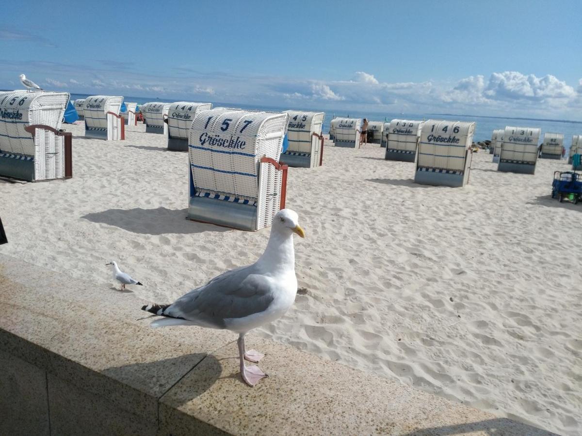 Ostsee Fewo By Wolf Grömitz Exteriér fotografie